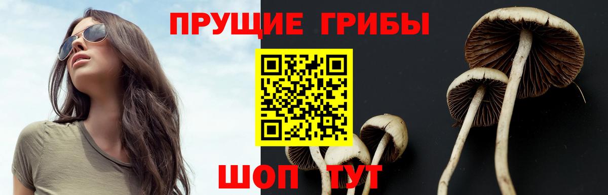Псилоцибиновые грибы MAGIC MUSHROOMS  Вход с VPN  Сатка  Псилоцибиновые грибы ЛСД 